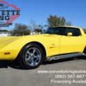 1979 Chevrolet Corvette Stingray