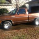 1979 Chevrolet Silverado Big 10 Truck