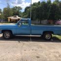 1979 Chevy C10 truck