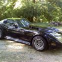 1979 Chevy Corvette  C-3  &quot; ANNIVERSARY EDITION&quot;
