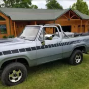 1979 Dodge Ramcharger SE