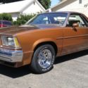 1979 El Camino Super Sport.  Original paint with only 75k og miles.  Rust free.