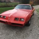 1979 Firebird 301 V8