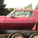 1979 Firebird Trans Am, Project,  factory paint code 50 Solar Gold