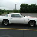 1979 Firebird Trans Am survivor