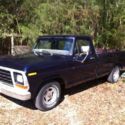 1979 Ford F100 302 V8