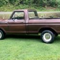 1979 Ford F100 Pickup Brown RWD Manual