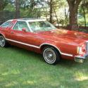 1979 FORD THUNDERBIRD RARE T-TOPS. ALL MECHANIC WORK COMPLETE. DRIVE ANYWHERE
