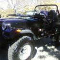 1979 Jeep 50th Anniversary CJ5  2-Door 5.0L