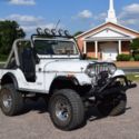 1979 Jeep CJ-5, 6 Cylinder, 4 Sp, Power Steering, 4 Wheel Drive, Winch
