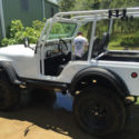 1979 Jeep CJ5 Base Sport Utility 2-Door 5.0L