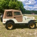 1979 jeep cj5 Golden Eagle **REDUCED FURTHER**