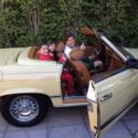 1979 Mercedes-Benz 450SL Base Convertible 2-Door 4.5L