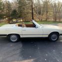 1979 Pale Yellow