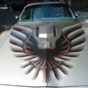 1979 PONTIAC 10th ANNIVERSARY TRANS AM....3,966 ORIGINAL MILES !!!!