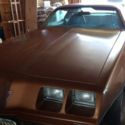 1979 Pontiac Firebird (Barn Find)