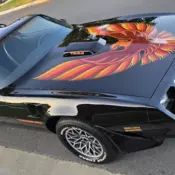 1979 Pontiac Firebird Coupe Black