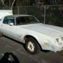 1979 Pontiac Firebird- Project