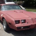 1979 Pontiac Firebird Trans Am - 2 Door Coupe