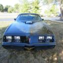1979 Pontiac Firebird Trans Am Beautiful Black and Gold Great Shape