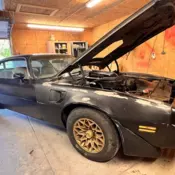 1979 Pontiac Firebird Trans Am Coupe Black