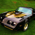 1979 Pontiac Firebird Trans Am Special Edition Bandit