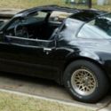 1979 Pontiac Firebird Trans AM WS6.  A True Daily Driver.