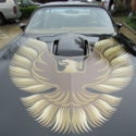 1979 Pontiac Firebird Trans am Y84 Special Edition
