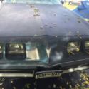 1979 Pontiac Firebird V8 auto
