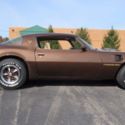 1979 Pontiac Trans Am, 1 Real Owner, 51K Actual Miles, Original Paint, Survivor
