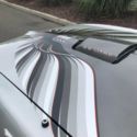 1979 PONTIAC TRANS AM 10TH ANNIV. ONE OWNER 5,700 ORIGINAL MILES