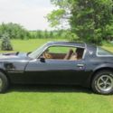 1979 pontiac trans am   1975 1976 1977 1978 1980 1981 rat rod firebird formula