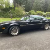 1979 Pontiac Trans Am 6.6 Auto 94k Actual 1-Owner Survivor Worldwide NO RESERVE