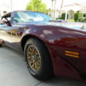 1979 PONTIAC TRANS AM 6.6 NEVER ANY RUST