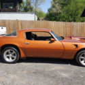 1979 pontiac  trans am 6.6