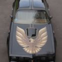 1979 Pontiac Trans Am 6.6L T-Top Black Gold Bandit SE