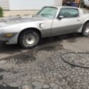 1979 Pontiac Trans Am - Anniversary Edition - Survivor