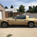 1979 Pontiac Trans Am Brown RWD Automatic deluxe