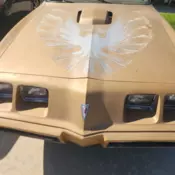 1979 Pontiac Trans Am Brown