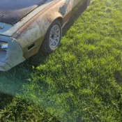 1979 pontiac trans am car