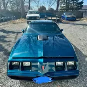 1979 Pontiac Trans Am Coupe Blue trans am