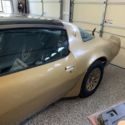 1979 Pontiac Trans Am Coupe Brown RWD Automatic