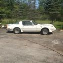1979 Pontiac Trans AM ( Fire AM )