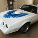 1979 Pontiac Trans Am - NO RESERVE