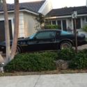 1979 Pontiac Trans am  S.E 6.6 Liter T-Top Delete Special order