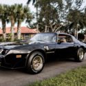 1979 Pontiac Trans Am SE Y84 W72 4-Speed
