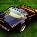 1979 Pontiac Trans Am Special Edition