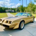 1979 Pontiac Trans Am “Survivor”