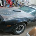 1979 PONTIAC TRANS AM W84 - Special Edition! CANADA CAR!