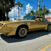 1979 Pontiac Trans Am WS6 4 Speed